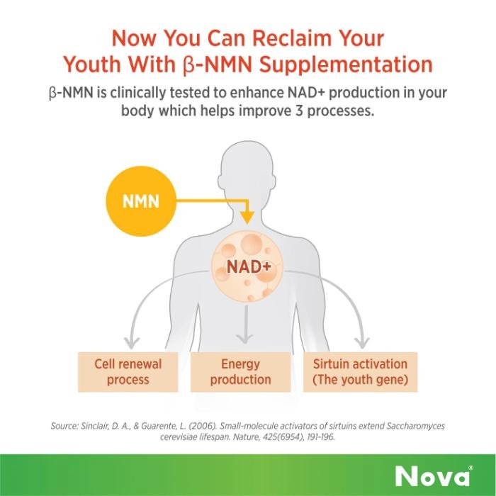 NOVA Age-Fix NMN 500mg