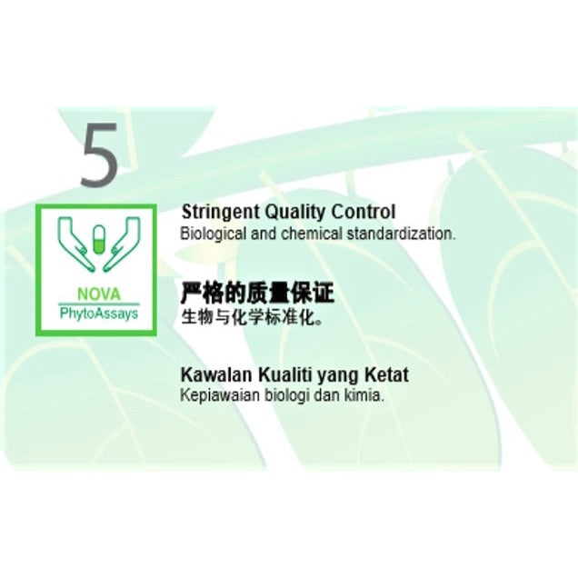 NOVA Hepar-P Forte 500mg Capsules 30s | 250mg Caplets 60s