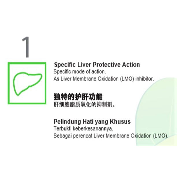 NOVA Hepar-P Forte 500mg Capsules 30s | 250mg Caplets 60s