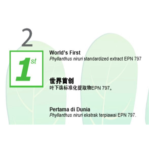 NOVA Hepar-P Forte 500mg Capsules 30s | 250mg Caplets 60s